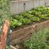 OFF GRiD HoMeSTeAd UPDaTe FoResT CuTTiNG TreeS LaNdsCaPiNg