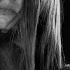 Harakiri For The Sky I Pallbearer Official Music Video