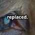 What Happens When DNA Stops Replicating Replication Dna Cells Damage Facts Viral Viralshort