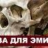 Роза для Эмили Уильям Фолкнер Аудиокнига Рассказ