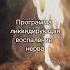 Программа ликвидирующая воспаление нерва Исцеление от воспаления нерва