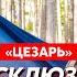 Легендарный Цезарь легион Свобода России Куда исчез Путин Когда русский бунт