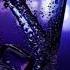 Piano Bar Jazz Lounge Music The Best Of Latin Lounge Jazz Bossa Nova Samba And Smooth Beat C01