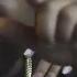 Mo3 Gangsta Love Official Video Dir By Cornelius Beatz