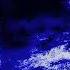 Lilacs Slowed