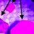 Ruby How To Idenify Real Ruby UV Light Metod Gemstone Minerals Amazing Florescence