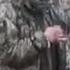 Ukraine War Executed Soldier Video Could Be A War Crime