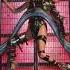 Lady Gaga Enigma Slowed Reverb