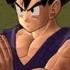 Dragonball Raging Blast 2 All Of Teen Gohan S Special Opening Quotes Chaospunishment