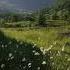 1 Hour Of Ethereal Remixed Classics With Rain Sounds Claire De Lune Once Upon A Dream