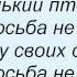 Слова песни Детские песни Не волнуйтесь понапрасну