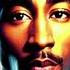 2pac Shine