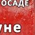 8 Владлен Логинов Заветы Ильича Сим победиши Глава 2 пар 2 накануне партсъезда