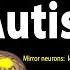 Autism Spectrum Animation