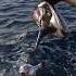 Shore Jigging In May CROATIA