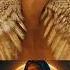 Do You Love Jesus Jesus Faith Miracle