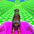 SHINCHAN AND FRANKLIN TRIED THE IMPOSSIBLE SPEED BOOSTER MAZE CORRIDOR PARKOUR CHALLENGE GTA 5