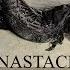 ANASTACIA MUSIC EVOLUTION 2000 2018