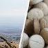 How The US Failed To Take Down Narco Terrorism The War On Drugs