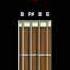 Bass Tuning Drop B B F B E