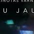 Dainotas Varnas Kaip Tu Jautiesi Mood Video