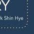 The Heirs OST Park Shin Hye Story
