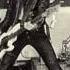 Sid Vicious My Way Song Only HD