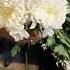 DIY With This Flowers Subscribe Youtube Youtubeshorts Flowers Song Love Life Beauty