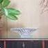 Rheumatology Pollution Auto Immune Diseases Dr Uma Kumar HOD Rheumatology AIIMS S Cube TV