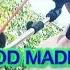 Dilmurod Madmusayev To Y Bop 2018 MAYAM Nomli Qo Shiq SUPPER TINGLANG