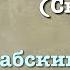 Сура 24 ан Нур арабские и русские титры Мухаммад Люхайдан