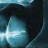 Women Can SMELL It The Pheromone Effect Of Semen Retention