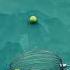 Rallying Treasure The Ultimate Tennis Ball Collection Smalleyes Experiment Sharps Naylor