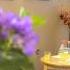 Acacia Lodge Care Home Manchester Moston