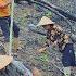 Wishing For A Bountiful Harvest How We Grow Rice On Steep Hills