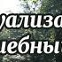 Медитация релаксация визуализация Волшебный лес