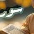 Best Part Of Sura Anbiya Best Tilawat Qari Faisal New 2025 Live Tilawat Daily Tilawat