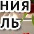 Видеопоздравление с днем рождения в феврале С днем рождения зимой Видео открытка