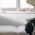 Elevate Your IKEA Söderhamn Sofa With A Bemz Cover