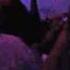 Sensation Wicked Wonderland 2009 Butterfly Avi