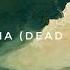 Anarbor MIA Dead Robot Remix