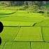 TARLING CIREBONAN TARLING INDRAMAYU TARLING FULL ALBUM LAGU TARLING TARLING LAWAS