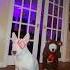 HELP He S Escpaing Halloween Scary Spooky Meme Dogs Walter Target Funny
