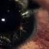 The Way Of The Tears Exclusive Nasheed Slowed Reverb Lofi Nasheed Nekiyan 77 Most Viral Nasheed