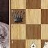 The Greatest Queen Sacrifice In Chess History Nezhmetdinov Vs Chernikov 1962