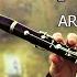 Artur Petrosyan Pashtelis Clarinet Cover 2024