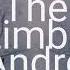 The Limba X O