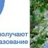Разработка содержания открытого дополнительного образования