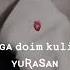 Har Doyim Kulib Yuring