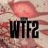 Ugovhb Wtf 2 Speed Up